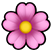 cherry_blossom.png