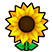 sunflower.png